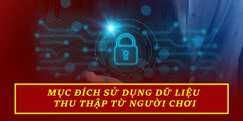 Mục đích sử dụng dữ liệu thu thập từ người chơi